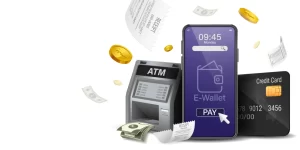 Payment Service Provider