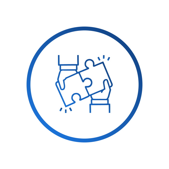 Software as Service Provider